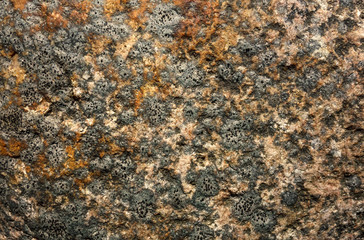 Texture of granite stone with black fungal growths