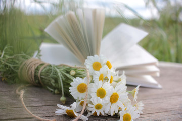 Bouquet of white daisies on a wooden table outdoors on a blurred open book background. Summer...