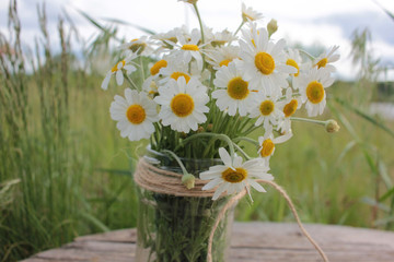 White daisies in a glass jar on a wooden table outdoors. Natural background.
