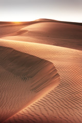 Fototapeta na wymiar desert Dunes