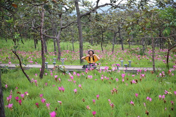 Women in the fields of Krachiew flowers at Pa Hin Ngam National Park in Chaiyaphum, Thailand