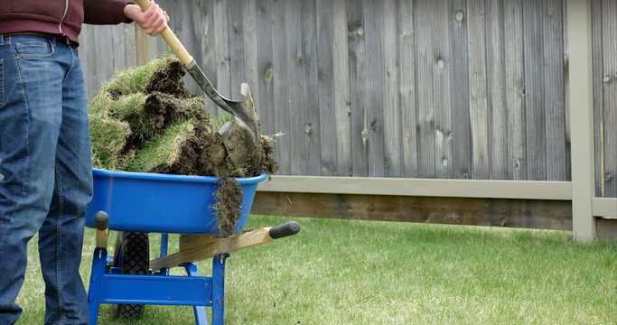 Man over fills wheel barrow with grass and sod - wide shot from behind