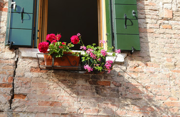 Fototapeta na wymiar Balcony with flower pots geraniums blooming in spring