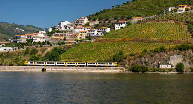 Yellow train passing in Douro railway and vineyards as background