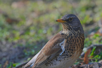 Spojrzenie za siebie