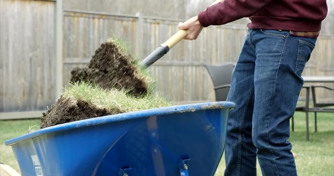 Man lifts shovel full of dirt and sod grass into wheel barrow - backyard landscaping