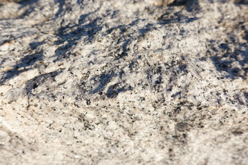 Abstract macro view of a gray white granite rock texture outdoors in sunlight.