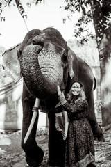 beautiful girl next to an elephant - 351182058
