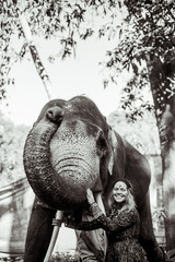 beautiful girl next to an elephant - 351182068