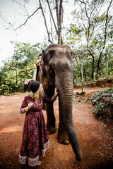 beautiful girl next to an elephant - 351182233