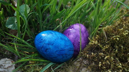 easter eggs in the forest