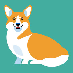 The dog breed Corgi is sitting. Stylish vector image of an animal in a sitting pose, in full growth.