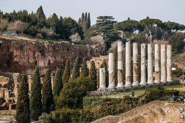 Fototapeta na wymiar The ancient ruins of the Roman Forum and Palatine hill. Rome, Italy