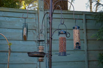 A collection of bird feeders in a garden 