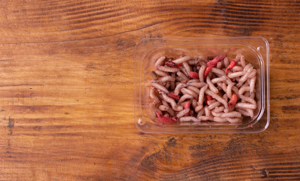 A small box with larvae of a meat fly - maggot on wooden background. Fishing lures.