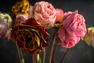 Dried bouquet with colorful roses on the rustic background. Shallow depth of field.