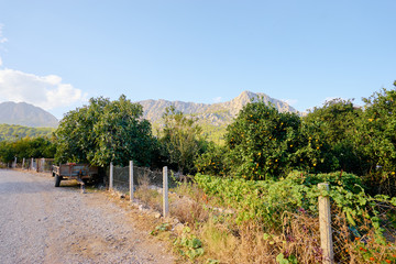 Farmland full of fruit trees behind a fence near a roadside among the vast mountains.