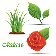 set of nature icons