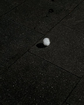 Pollen on the street