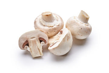 White mushrooms lie on a white background