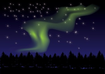 Obraz na płótnie Canvas aurora in the night sky