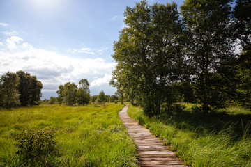 Weg auf Holzbohlen