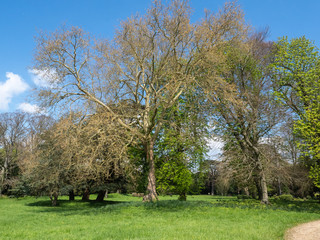 Château de Ferrières-en-Brie à l'est de Paris