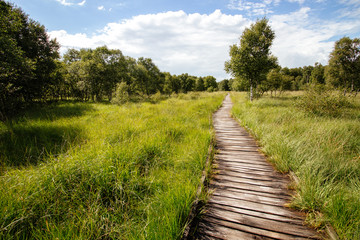 Bohlenweg 