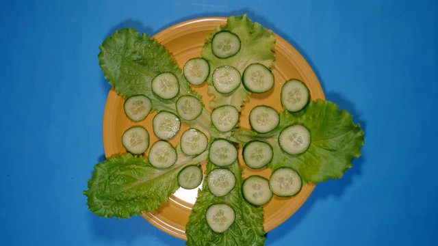 vegeterian salad stop motion. animation of cucumber, red pepper, tomato timelapse