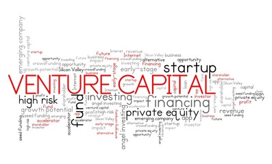 Fototapeta premium Venture capital concept