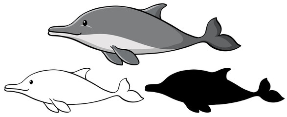 Set of dolphin cartoon