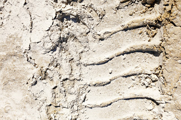 ATV tracks in the sand in harsh sunlight