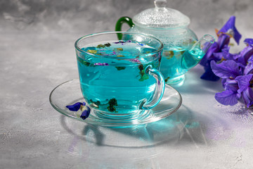 Obraz na płótnie Canvas A cup of hot, blue tea with pea flowers. Blue peas. For healthy drinking, detoxifying the body. Gray background.
