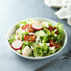 Healthy green salad with sun dried tomatoes, radish, cucumber and cheese