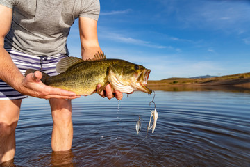 Big Bass Large mouth - Fishing on lake