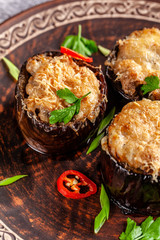 Arabian cuisine. Turkish eggplant dish with chicken and cheese. Background image. copy space