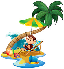 Scene with monkey sitting on the beach on white background