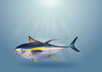 Fish in an ocean