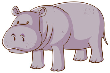Cute hippopotamus on white background