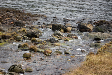 Obraz premium rocks in a creek