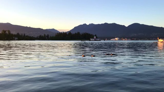 Lake Series Scene Golden Hour Mountains Geese Pontoon Prop Planes Vancouver
