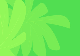 Fototapeta na wymiar Summer Green Tropical Leaves Horizontal Vector Background