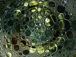 water drops background