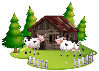 Obraz na płótnie Canvas Cows at old wooden house