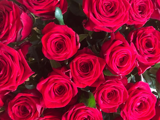 Beautiful bouquet of luxurious red roses