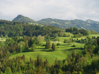 tranquil landscape with hills covered by forest and mountains 