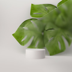 3D pedestal display with monstera palm leaves. Abstract white art deco podium platform for beauty product presentation. Natural copy space background. Tropical Summer 3d render illustration banner © kopikoo