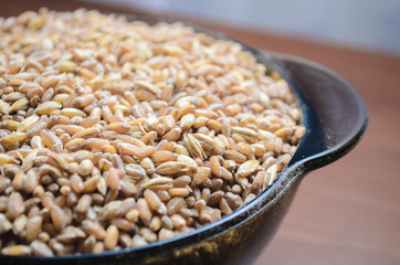 In a plate of pearl barley close-up and the rays of the sun. Abundance of food
