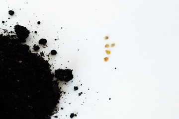 Heap of soil with tomato seeds isolated on a white background