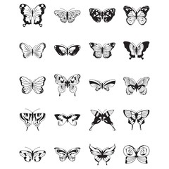 Set of butterfly icons